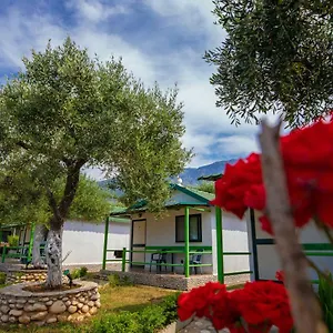 https://chalet-ambel.albaniahotels.org